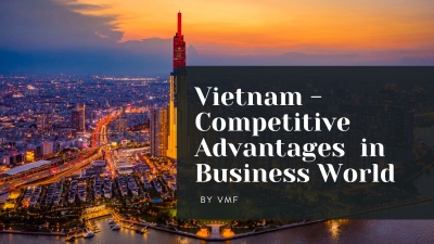 Vietnam and Competitive Advantages in Business market 